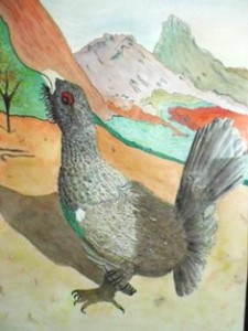 vjdemarbre-Coq-de-bruyère.