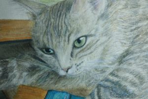 chat_peintre_2018